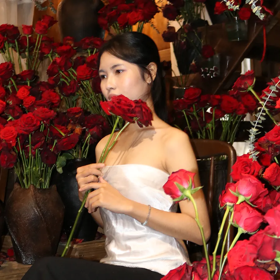 Như Huỳnh mặc áo trắng, ngồi giữa những bó hoa hồng đỏ